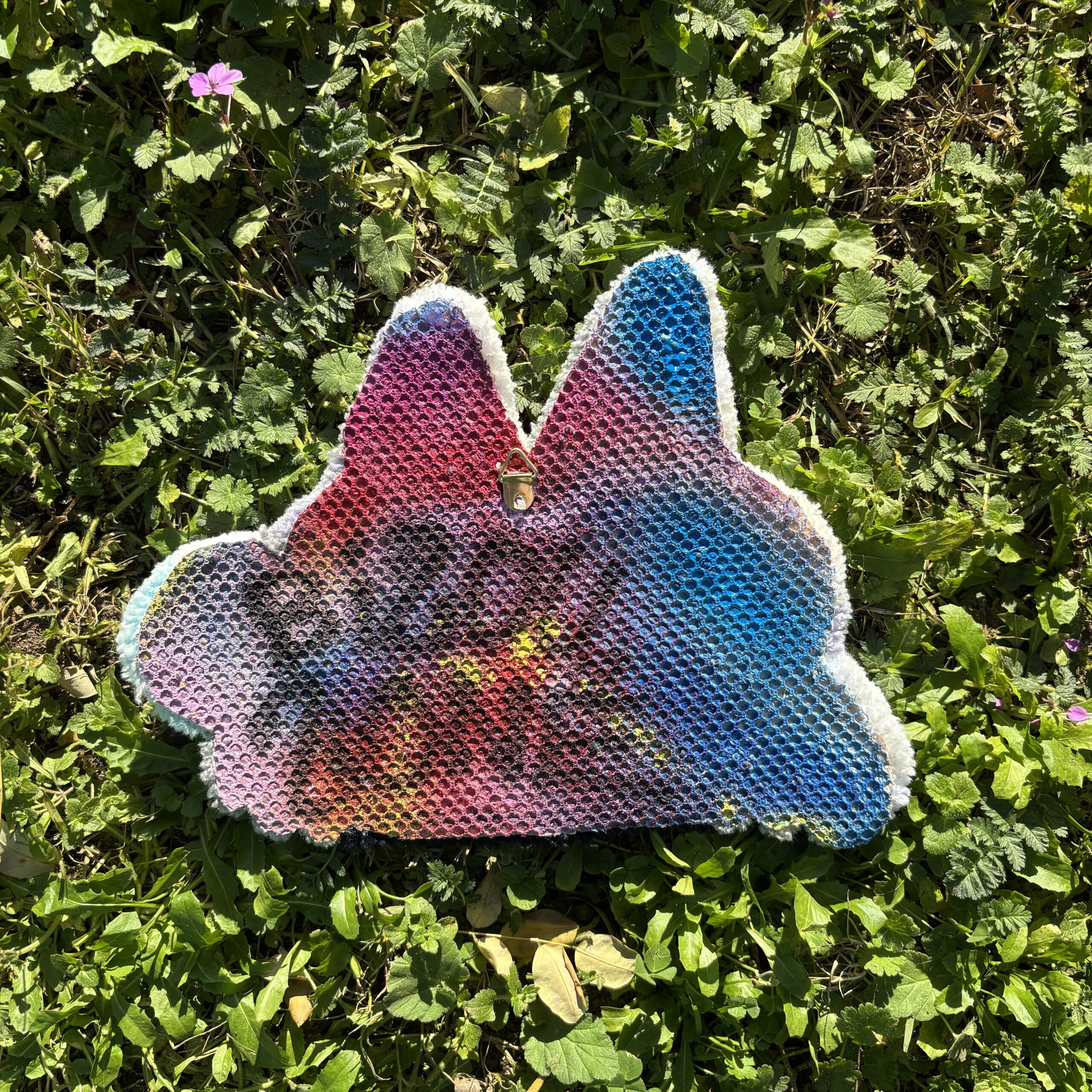 P'tit lapin à queue bleue – Image 2