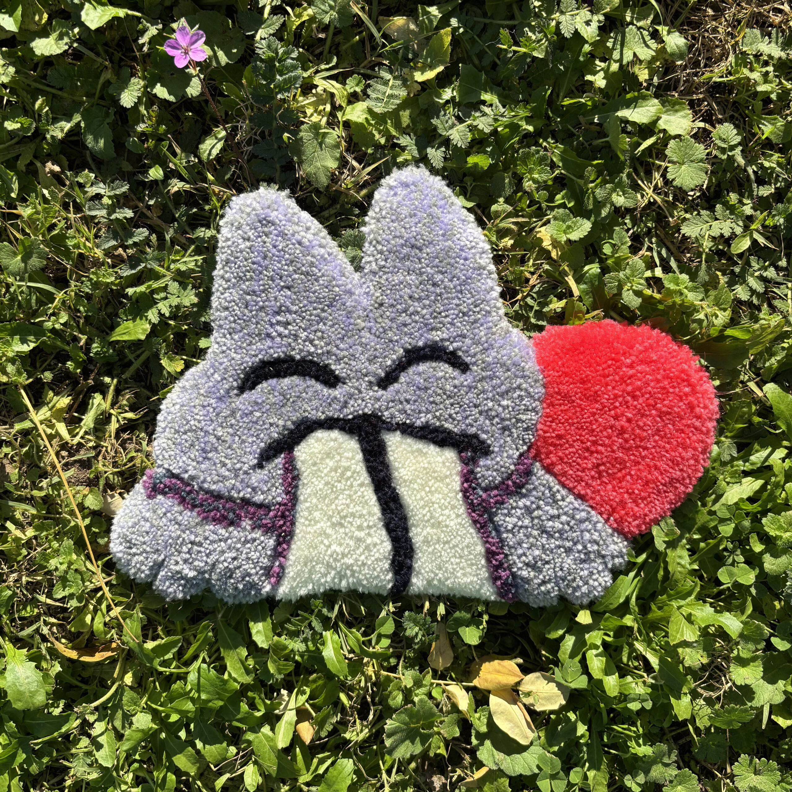 P'tit lapin à queue rose