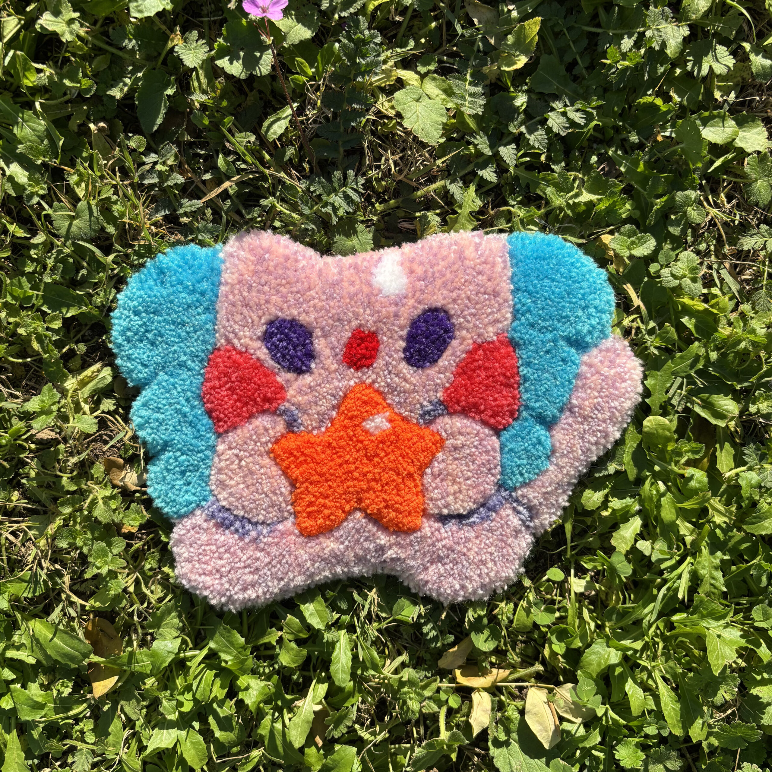 Miaminou et son étoile