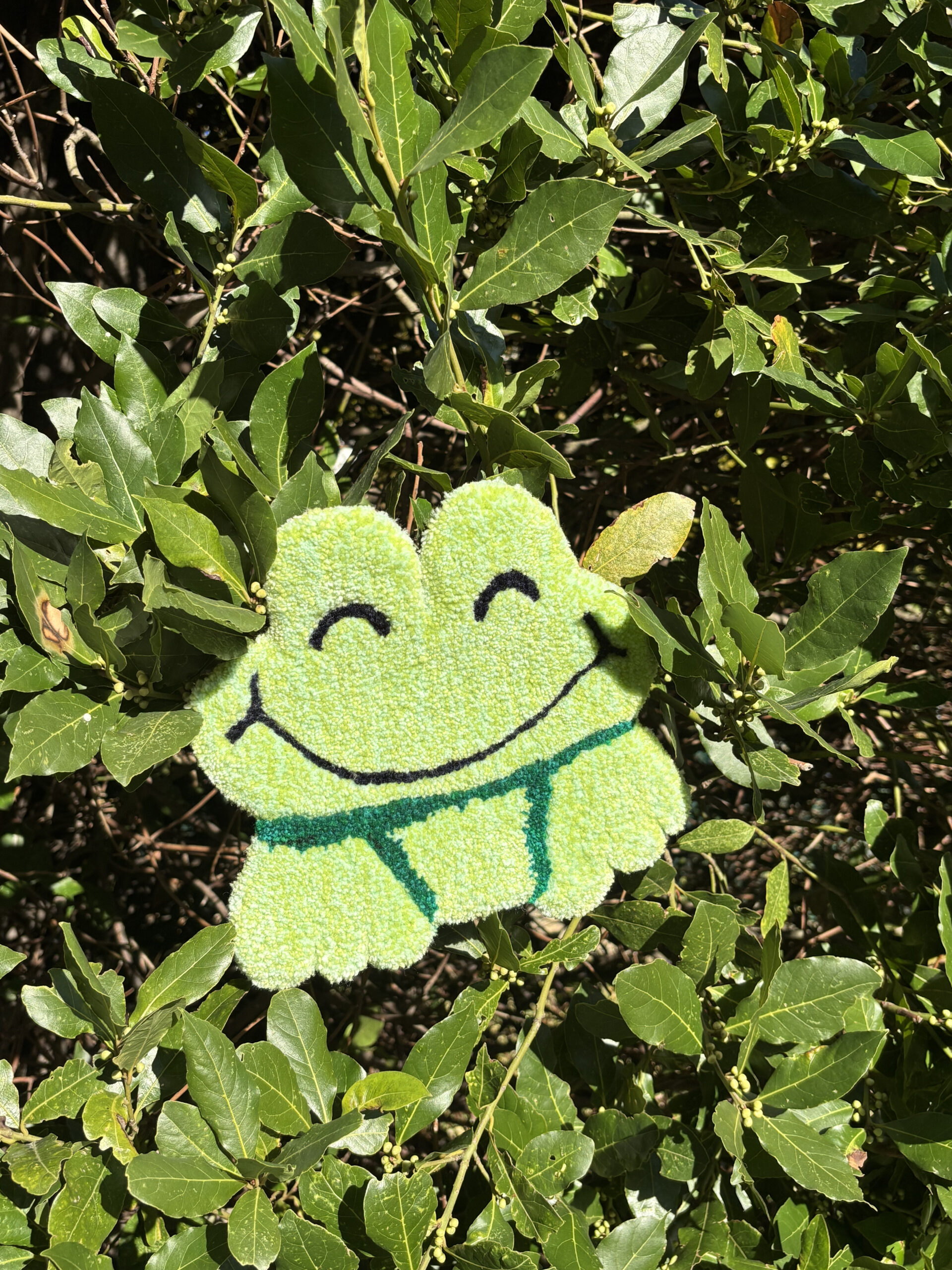 Croa croa – Image 2